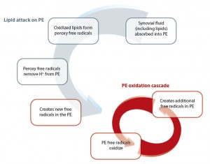 Lipid Attack on PE